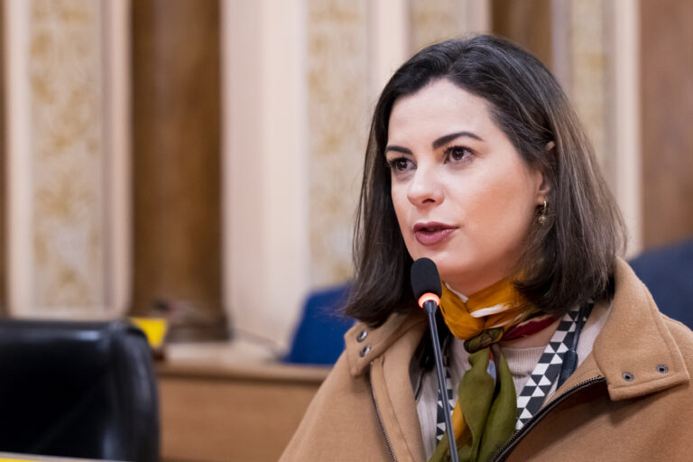 Câmara promove audiência pública sobre segurança nas escolas