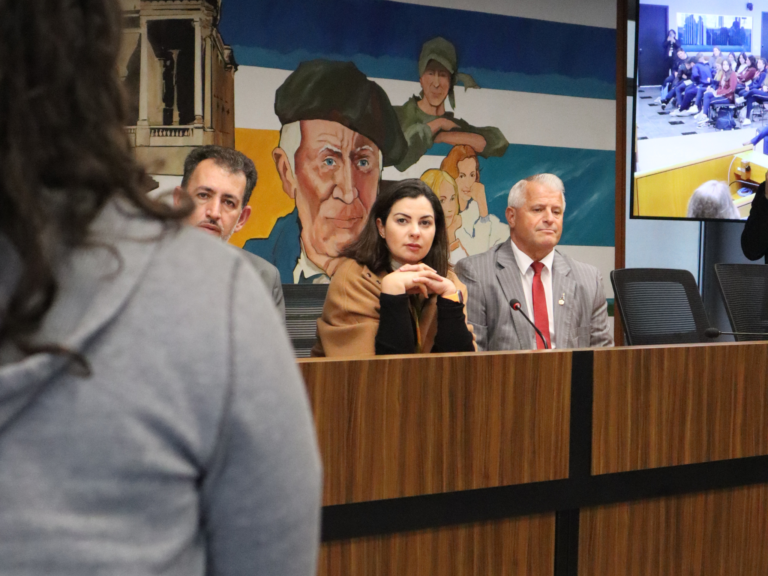Vereadores recebem sugestões de alunos do Ensino Médio